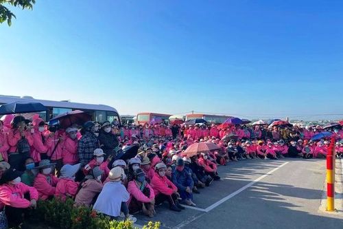 Tỉnh ủy Nghệ An chỉ đạo kịp thời xử lý vụ 6000 công nhân đình công, không để kéo dài, phát sinh điểm nóng phức tạp