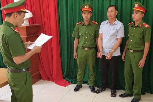 Khởi tố, bắt tạm giam đối tượng khai thác rừng trái phép tại núi Chóp Chài