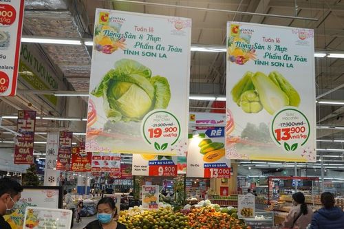 Giải 'bài toán' đưa nông sản miền núi vào siêu thị