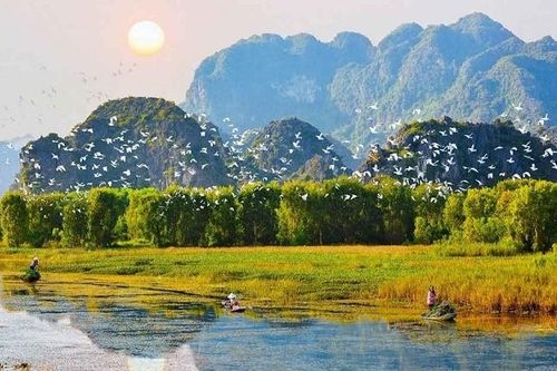 Nỗ lực bảo tồn đa dạng sinh học tại Việt Nam: 'Thăng hạng' trên trường quốc tế