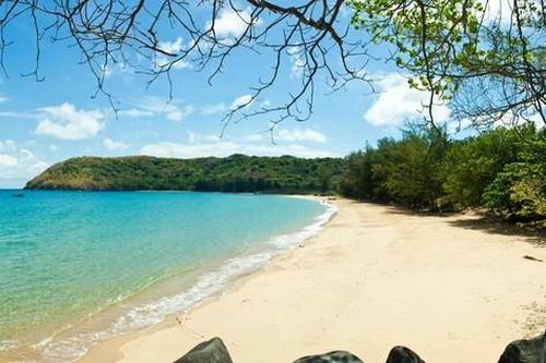 Phát triển tiềm năng du lịch Côn Đảo như thế nào?