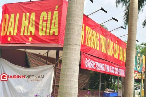 Bánh trung thu đại hạ giá: Có phải 'tiền nào của ấy'?