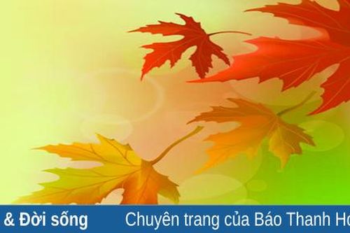 Ướp đượm hương thu