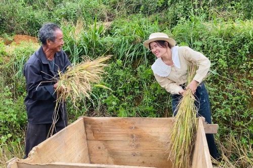 Mùa vui ở Tà Chải