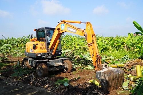 Khi nào bị cưỡng chế thu hồi đất?