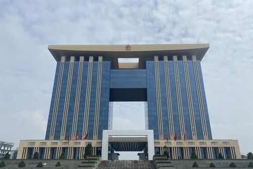 Bình Dương: Cần làm rõ trách nhiệm và xử lý nghiêm sai phạm về quản lý, bảo vệ rừng