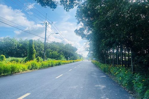 TP.HCM đặt mục tiêu đưa các khu vực nông thôn trở thành nơi đáng sống