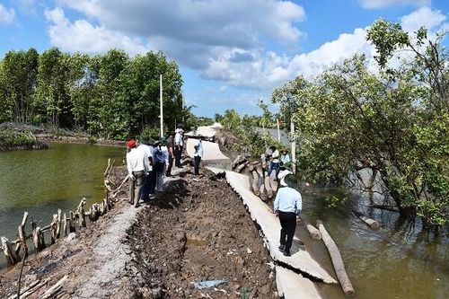 Cà Mau: Khẩn trương kiểm kê, khắc phục thiệt hại do thiên tai gây ra