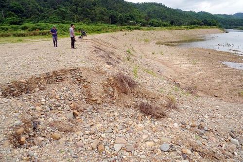 Xây kè chống sạt lở bờ sông theo kiểu trông cậy vào… cỏ mọc