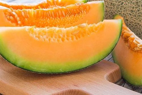 Tại sao dưa lưới dễ bị nhiễm khuẩn Salmonella?