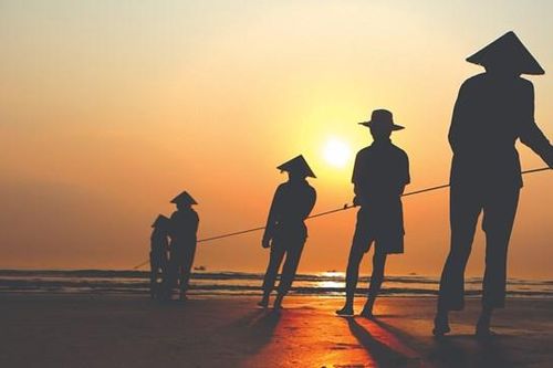 Độc đáo nghề kéo rùng bắt cá