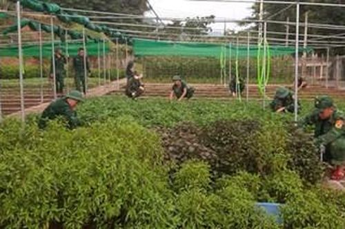 Lãi từ tăng gia sản xuất của toàn quân tăng 7,5% so với cùng kỳ năm 2022