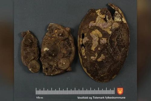 Tìm bông tai, suýt ngất khi đụng trúng kho báu Viking 1.200 tuổi