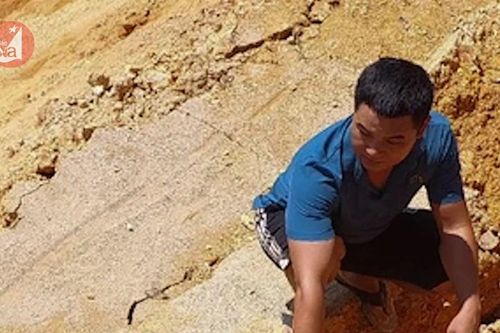Bờ sông sạt lở nghiêm trọng ở Anh Sơn được khắc phục tạm thời