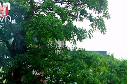 Điểm tin ngày 8/10