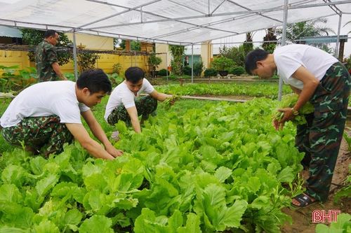 Cải thiện bữa cơm bộ đội, xây dựng cảnh quan đơn vị sạch - đẹp