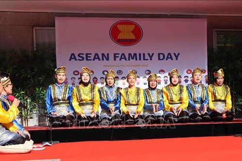 Nhiều hoạt động thú vị nhân Ngày gia đình ASEAN tại Bỉ