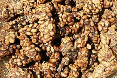 Thứ thu từ chất thải động vật không ngờ là 'cực phẩm' giá 30 triệu/kg