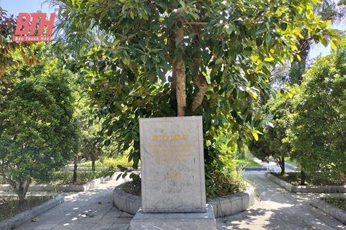 Giữ gìn, phát huy giá trị các di tích lịch sử cách mạng