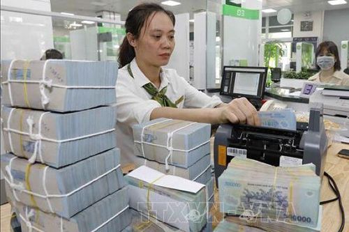 Top doanh nghiệp nộp thuế lớn nhất Hà Tĩnh, dẫn đầu là cái tên bất ngờ