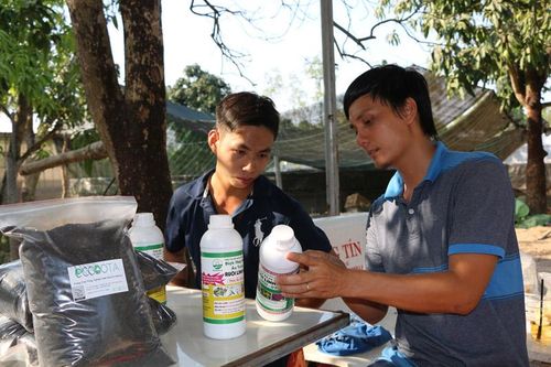 Kinh tế tuần hoàn hướng tới việc phát triển nông nghiệp bền vững
