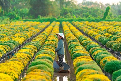 Xây dựng Đồng Tháp thành tỉnh tiên phong về nông thôn hiện đại