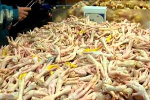Đường đi của chân gà, cánh gà 'bẩn'