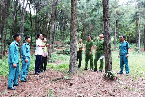 Tăng cường liên kết quản lý, bảo vệ rừng giáp ranh