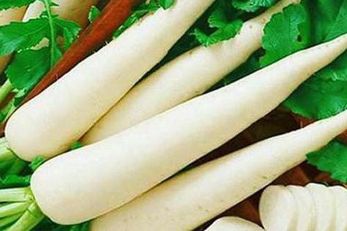 Cách dùng củ cải chữa bệnh
