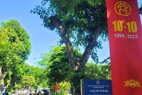 Phố phường Hà Nội trang hoàng rực rỡ mừng kỷ niệm 69 năm Ngày Giải phóng Thủ đô