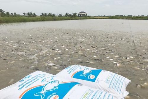 Đồng Tháp: Phát triển ngành thủy sản bền vững