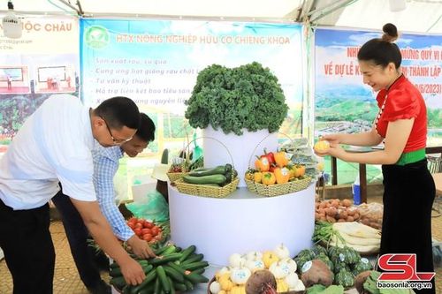 Vân Hồ nâng tầm sản phẩm đặc sản địa phương và trải nghiệm du lịch nông nghiệp