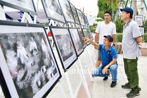 Hơn 2.000 tác phẩm tham gia Liên hoan Ảnh nghệ thuật đồng bằng sông Cửu Long 2023