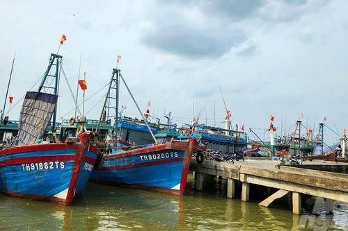 Thanh Hóa xử lý vi phạm hành chính trong lĩnh vực thủy sản 76 vụ, tổng tiền xử phạt trên 1,5 tỷ đồng