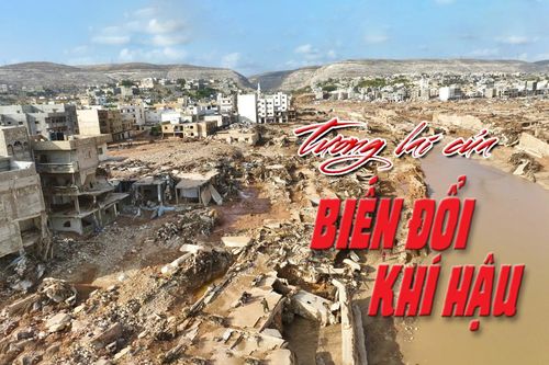 Tương lai của biến đổi khí hậu