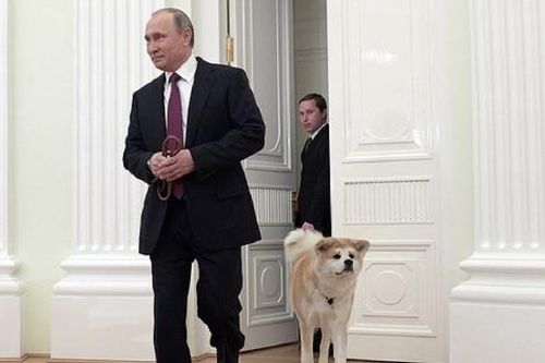Ông Putin thực hiện ước mơ cho nữ sinh vùng Pskov
