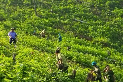 Viện trưởng VKSND huyện Na Rì trực tiếp kiểm sát khám nghiệm hiện trường