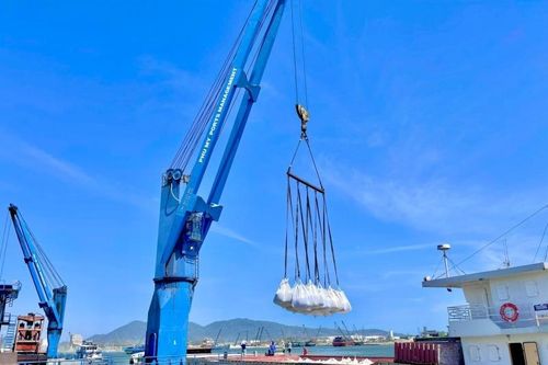 Công ty Cổ phần Khai thác Cảng Phú Mỹ bị cưỡng chế do nợ thuế hơn 8 tỉ đồng