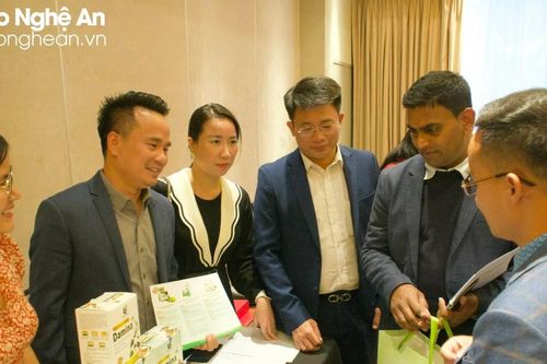 Nghệ An vận dụng tốt cơ hội đầu tư, giao thương với New Zealand và Australia