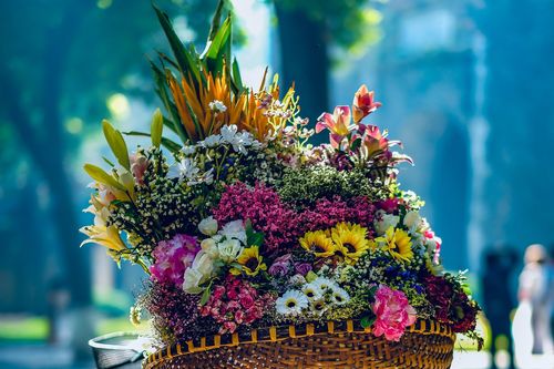 Mùa Thu Việt Nam: Những điểm đến đắm say cho kỳ nghỉ siêu lãng mạn