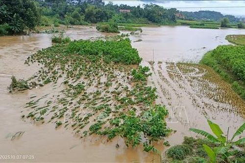 Mưa lũ gây nhiều thiệt hại tại các địa phương