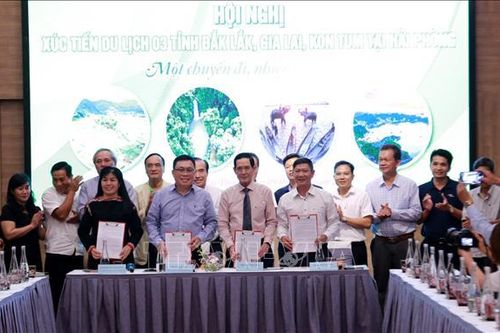 Liên kết phát triển du lịch giữa ba tỉnh Tây Nguyên với thành phố Hải Phòng