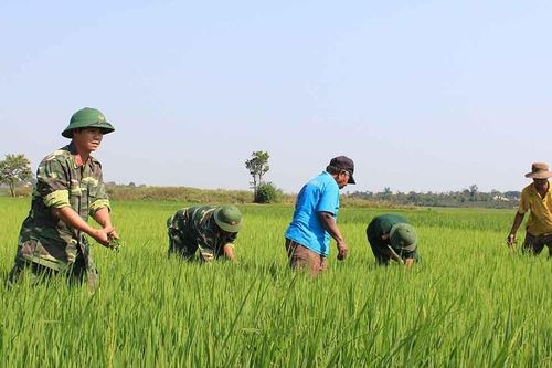 Lực lượng vũ trang Gia Lai hướng mạnh về cơ sở