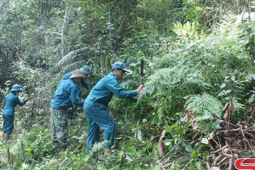 Ngăn chặn tình trạng mất rừng, suy thoái tài nguyên rừng