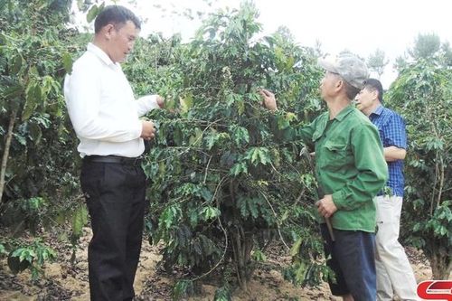 Phong trào thi đua 'CCB gương mẫu' ở Sốp Cộp