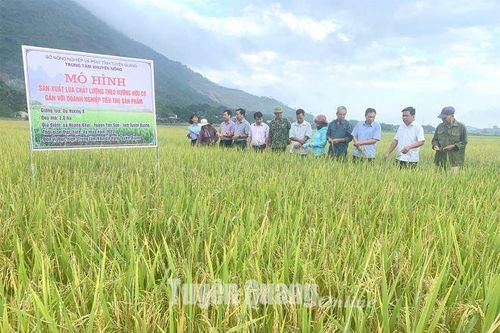 Vụ mùa thắng lợi và những bài học kinh nghiệm