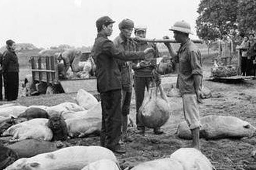 'Giằng co' giữa kinh tế thị trường và kinh tế kế hoạch hóa những năm 1979 - 1985