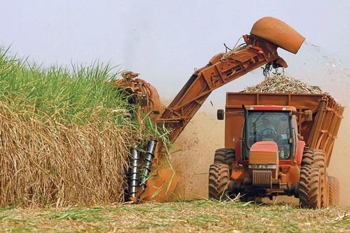 Thành Thành Công (SBT): Dự báo giá đường trong nước năm sau sẽ tiếp tục tăng nhẹ