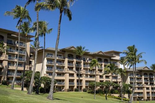 Hawai chính thức đón khách du lịch trở lại