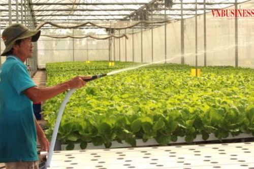 Bước chuyển mình mạnh mẽ của các HTX giúp Tân Trụ nâng tầm nông thôn mới
